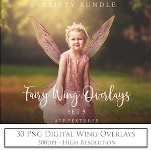 30 Fairy Wing Overlays, Png Clipart,  Bundle - Digital Wings, No. 9 Photo Overlay, High Res, Fine Art Photography, Magic, Png Clipart