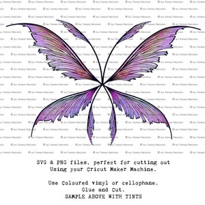 SVG, PNG Clipart, Fairy Wings, for Cricut and Silhouette Machine. Cut out and make real fairy wings. For Costumes, Halloween, Cosplay, Adult or Child size. Use in Wedding invites, Sublimation print or decorations. Faerie Wings, Butterfly, Dragonfly.