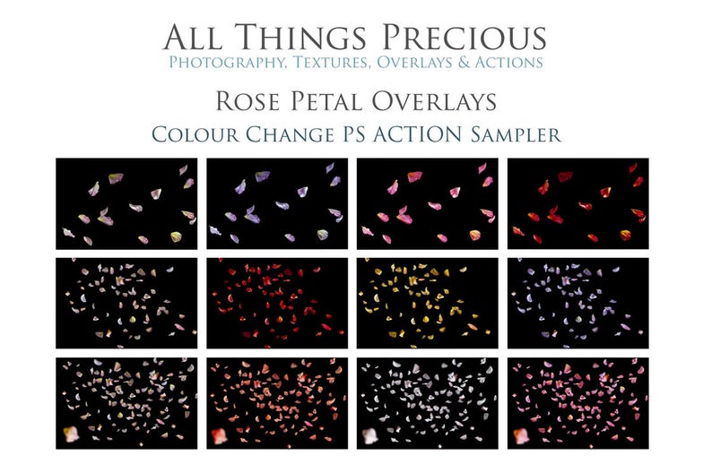 35 Png Overlays Rose Petal 6 Colour Changing Photoshop - Etsy Australia