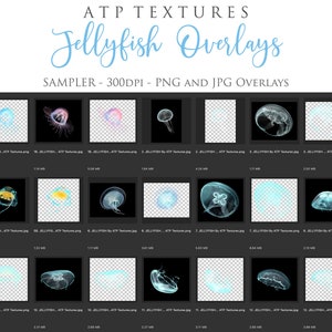 Pu&ograve; includere: Un assortimento di 15 sovrapposizioni digitali di meduse in formato PNG e JPG. Le sovrapposizioni sono a 300 DPI e presentano diverse meduse in diversi colori e pose. Le sovrapposizioni sono perfette per aggiungere un tocco di fantasia e magia ai tuoi progetti digitali.