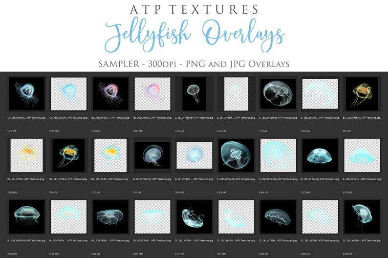 Pu&ograve; includere: Un assortimento di 15 sovrapposizioni digitali di meduse in formato PNG e JPG. Le sovrapposizioni sono a 300 DPI e presentano diverse meduse in diversi colori e pose. Le sovrapposizioni sono perfette per aggiungere un tocco di fantasia e magia ai tuoi progetti digitali.
