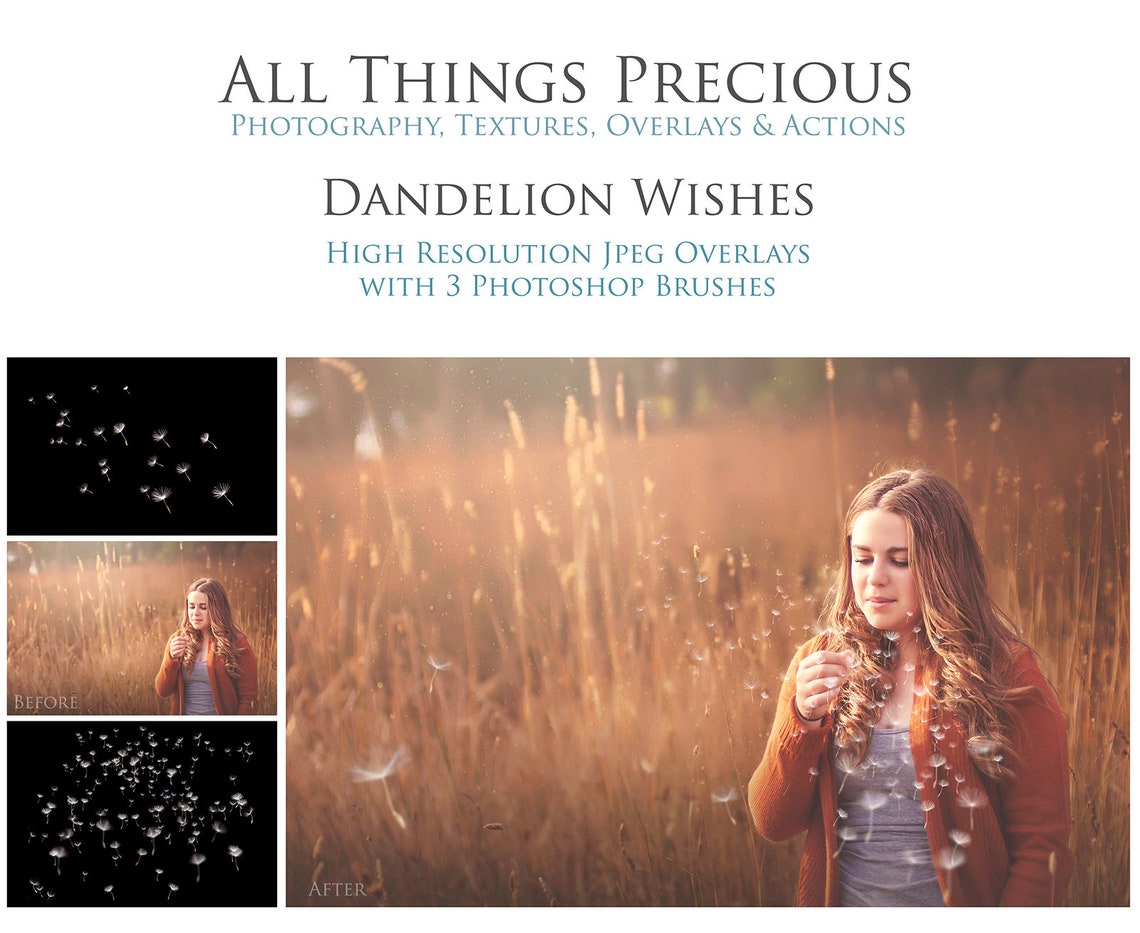 18 DANDELION Wishes OVERLAYS and 3 high res Photoshop BRUSHES image 0