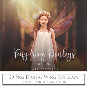 20 OVERLAYS, Png FAIRY WINGS - Set 38 / Digital Wing, High Resolution, Photoshop Overlay, Photography Editing, Photo Edit
