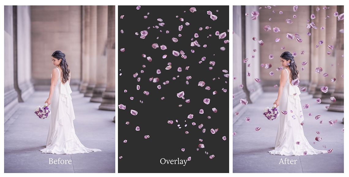 40 SPRING BLOSSOM Overlays / Photoshop Overlays Falling image 8