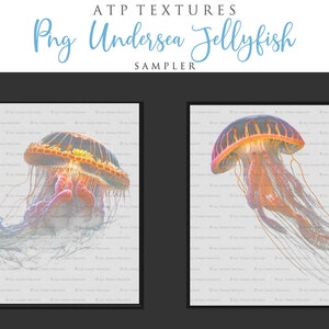 Jellyfish overlays for your Fantasy Edits. Digital Png clipart overlays. Photography, photoshop editing, Child photo art. Fine Art High resolution digital download. 300dpi. Digital Assets. Graphic Design. Ocean Background.  Underwater Scene