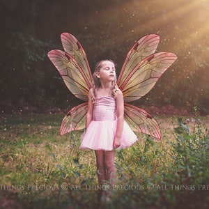 PRINTABLE FAIRY WINGS Set 8 Scrapbooking Clipart Digital - Etsy