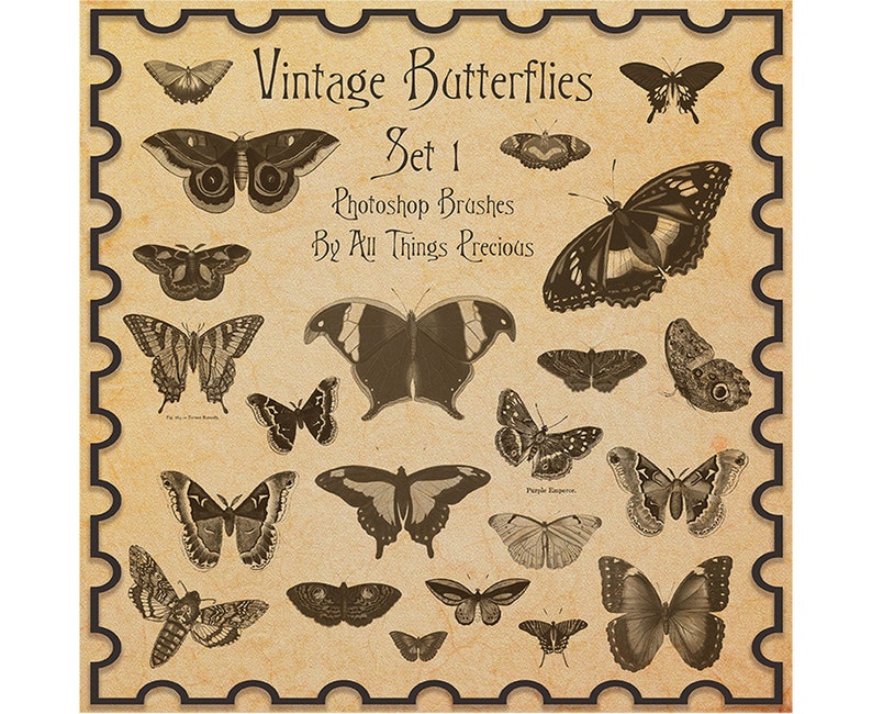 VINTAGE Butterfly Photoshop Brushes Set 1 / Digital Scrapbooking, Ornamental Frames, Photography Brushes, High Resolution image 1