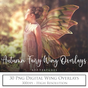 OVERLAYS - 30 Png AUTUMN / FALL Transparent Fairy Wings Set 1  / Clipart Wings, Fantasy, High Resolution, Photoshop, Digital