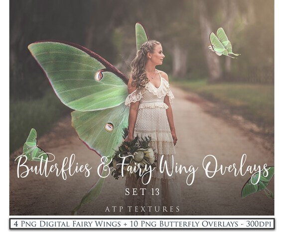 OVERLAYS Png FAIRY WINGS and Butterflies Set 13 / Digital Photography, Luna Moth Clipart, Photoshop Overlay, Butterfly, Photo Editing Il_570xn