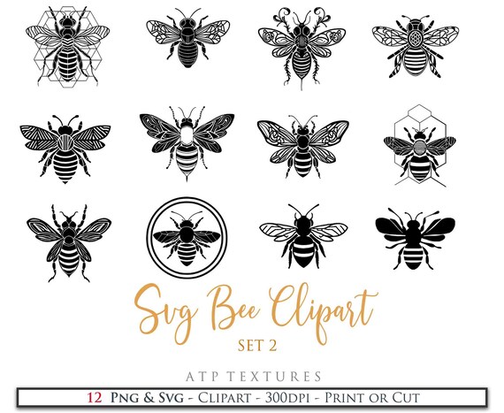 12 SVG BEE CLIPART - Set 2 - Silhouette, Png Clipart, Print, Cricut, Digital Scrapbooking, Sublimation, Art Tattoo Il_570xn