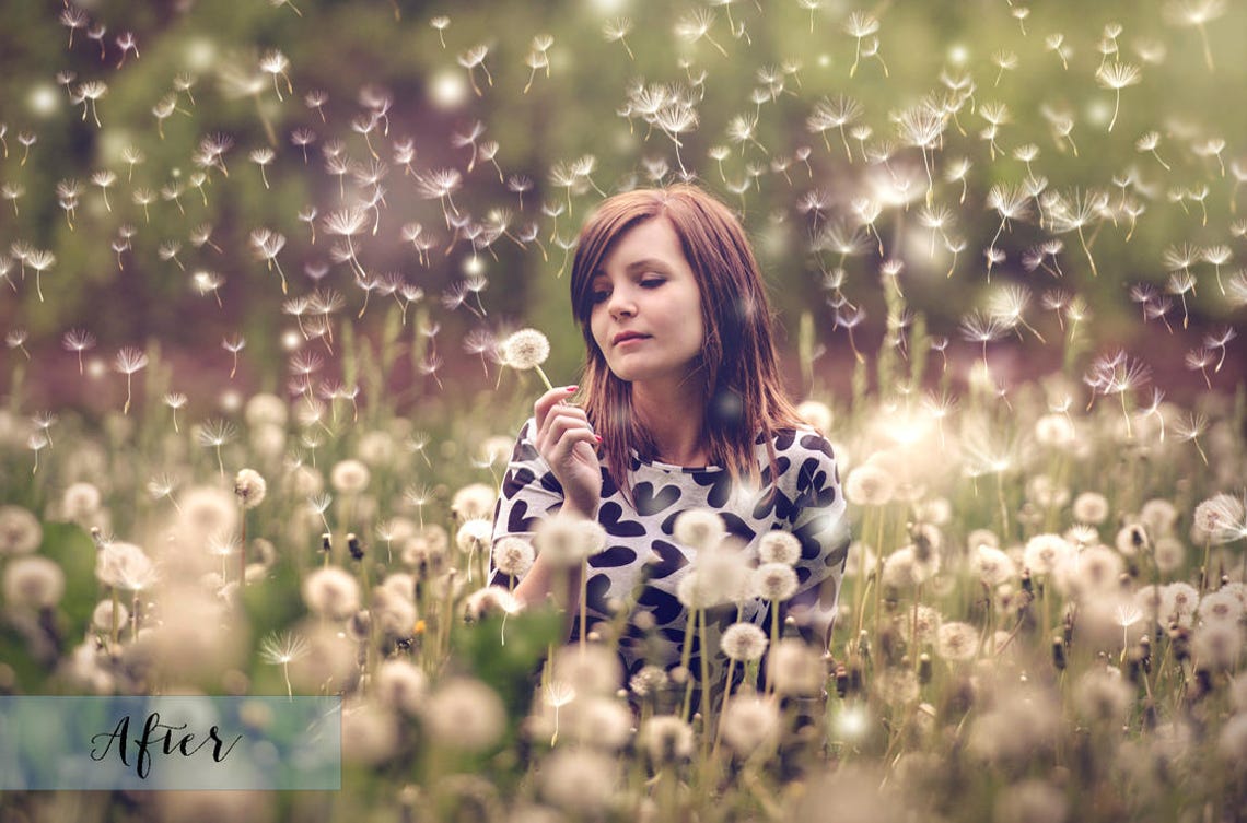 18 DANDELION Wishes OVERLAYS and 3 high res Photoshop BRUSHES image 7