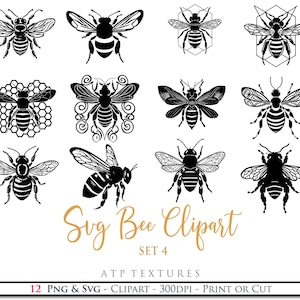 12 SVG BEE CLIPART Set 4 Silhouette, Png Clipart, Print, Cricut, Digital Scrapbooking, Sublimation, Art Tattoo, Ai Graphics image 1