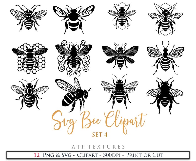 12 SVG BEE CLIPART Set 4 Silhouette, Png Clipart, Print, Cricut, Digital Scrapbooking, Sublimation, Art Tattoo, Ai Graphics image 1