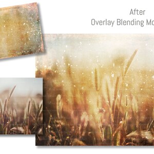 May include: A before and after image demonstrating the effect of an overlay blending mode on a photograph of tall grass. The before image shows a photograph of tall grass in a field. The after image shows the same photograph with a vintage, textured overlay applied.