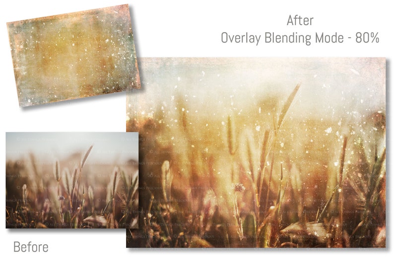 May include: A before and after image demonstrating the effect of an overlay blending mode on a photograph of tall grass. The before image shows a photograph of tall grass in a field. The after image shows the same photograph with a vintage, textured overlay applied.
