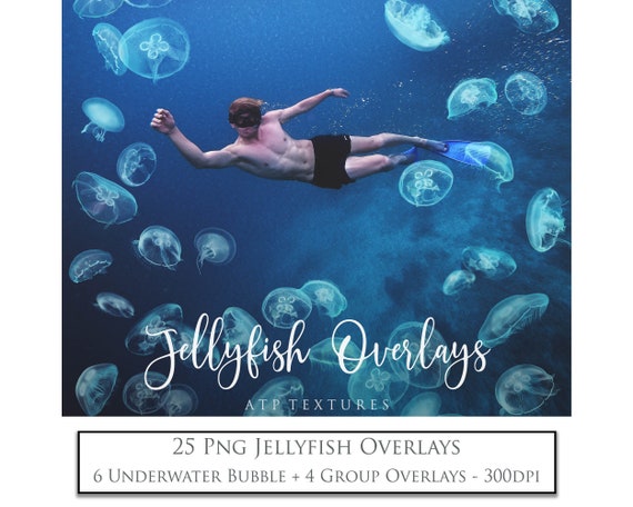 Png OVERLAYS - JELLYFISH / Photo Overlay, High Resolution, Digital Photography, Mermaid Art, Jelly Fish, Photoshop, Clipart