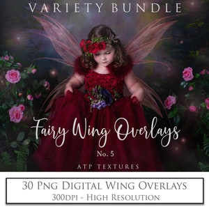 30 Png OVERLAYS BUNDLE Fairy WINGS No. 5, Clipart Transparent Wing, High Res, Photo Edit, Photoshop Overlay, Digital Fairies