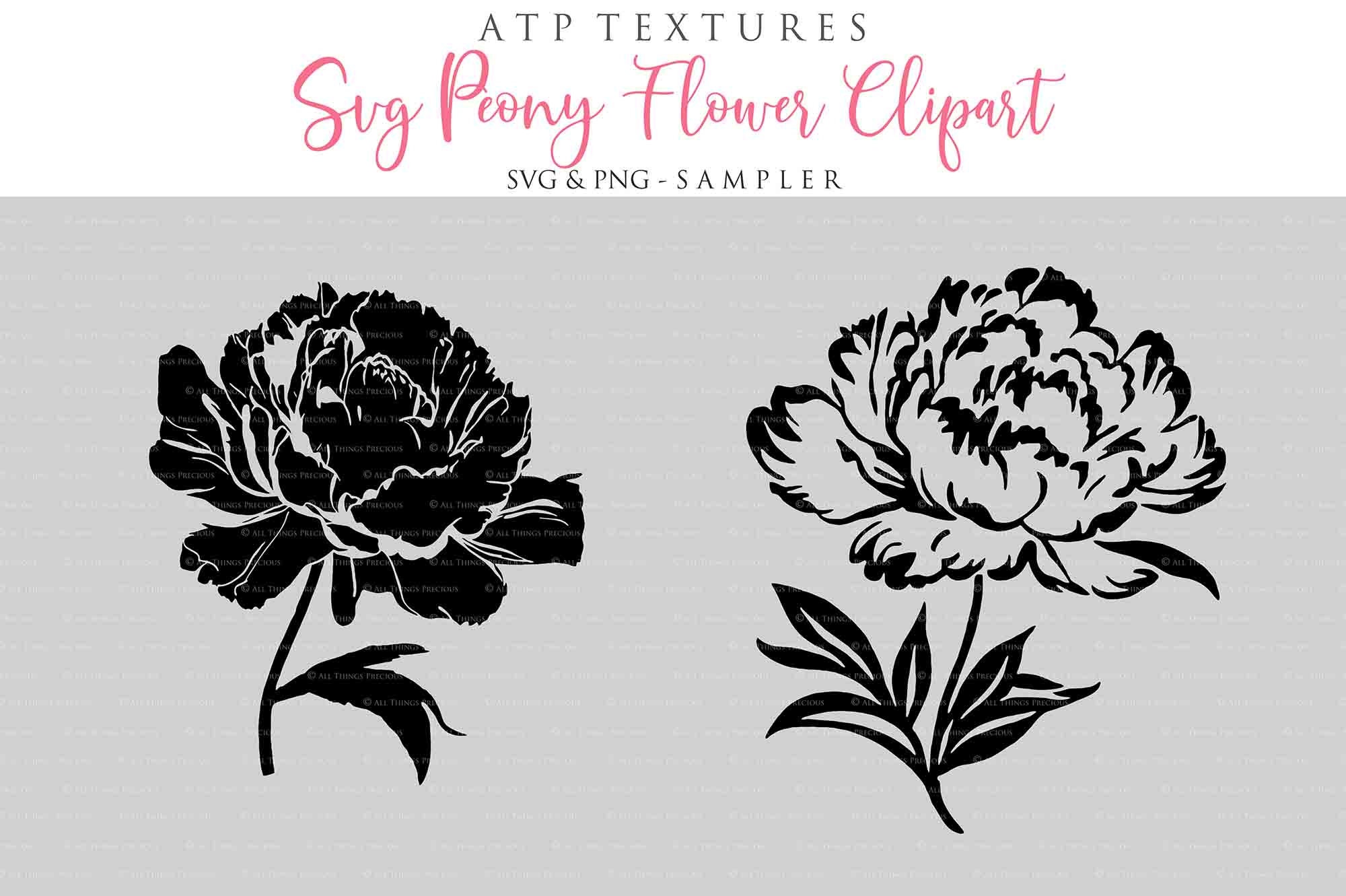 20 SVG PEONY Flowers PNG Clipart Print Silhouette Cricut - Etsy
