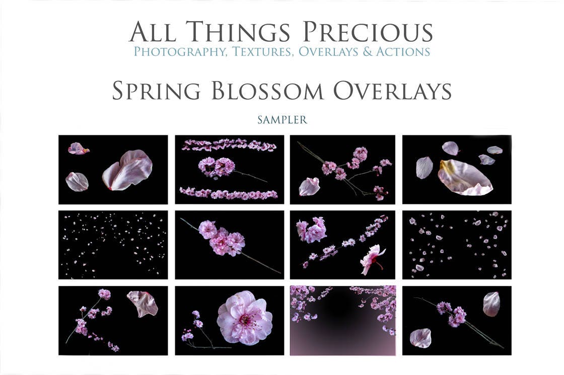 40 Photo Overlays Png - Spring Blossom Overlay / Photo Edit, Falling ...