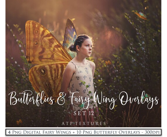 OVERLAYS - FAIRY WINGS and Butterflies Set 12 / Digital Photography, Scrapbooking Clipart, Photoshop Overlay, Photoshop Butterfly Wing Il_570xn