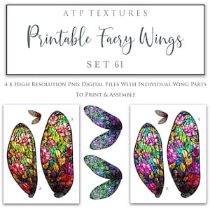 PRINTABLE FAIRY WINGS Set 61 - Scrapbooking Clipart, Digital Wing, Print, Cosplay, Photoshop Png, Faery, Doll, Costume, Pattern, Template