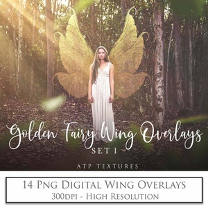 14 sobreposições de asas de fada, conjunto dourado 1 / sobreposição de fotos, asas de anjo, Photoshop, fotografia de fantasia, clipart de ouro