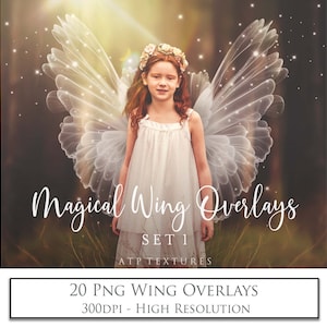 Magische OVERLAYS - 20 Png FEE WINGS Set 1 / Clipart Flügel, hohe Auflösung, Fotografie Overlay, Photoshop Bearbeitung, Fantasy, Ai Art