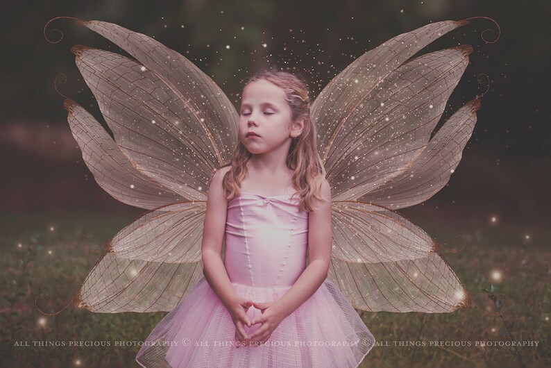 Digital Overlays for Photographers. Fairy Wings. Fairy Wing Overlays. High resolution, fine art digital assets for creating fantasy art. Magical transparent Png Overlay. See through real wings for authentic effects. Bundle. Real Butterfly Colourful.