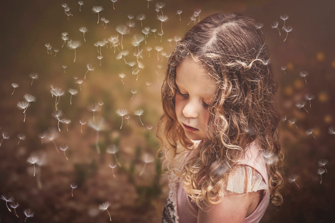 18 DANDELION Wishes OVERLAYS and 3 high res Photoshop BRUSHES image 3