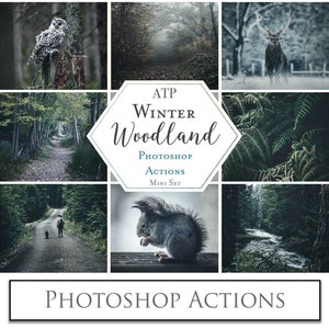 PHOTOSHOP ACTIONS - Winter WOODLAND Mini Set / Photography, Digital, Photoshop Edit, Photo Editing ,Newborn, Family, Photo Editing