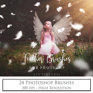 24 Photoshop BRUSHES -  FEATHERS / Photography Overlays, Digital Scrapbooking, Photoshop Background, Angel Feather, High Res
