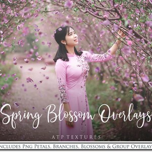 Digital Overlays, Fairy Scene Creator SPRING Png Clipart, Overlay ...