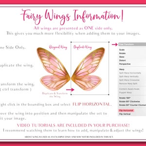 Digital Overlays for Photographers. Fairy Wings. Fairy Wing Overlays. High resolution, fine art digital assets for creating fantasy art. Magical transparent Png Overlay. See through real wings for authentic effects. Bundle. Real Butterfly Colourful.