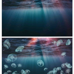 Pu&ograve; includere: Una fotografia di un oceano blu scuro con un raggio di luce che brilla attraverso l'acqua. Ci sono molte meduse che nuotano nell'acqua.