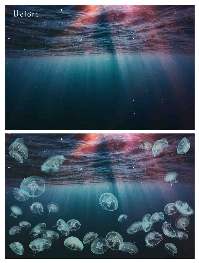 Pu&ograve; includere: Una fotografia di un oceano blu scuro con un raggio di luce che brilla attraverso l'acqua. Ci sono molte meduse che nuotano nell'acqua.
