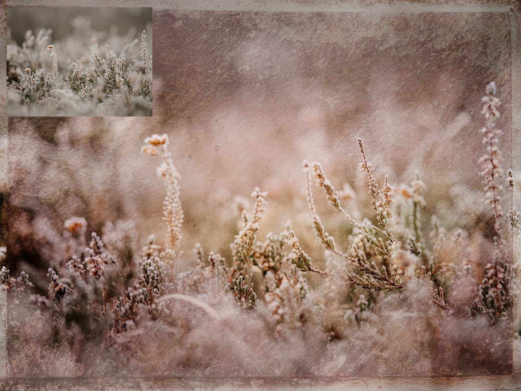 10 Fine Art TEXTURES - PINK Set 10 / Photo Overlays, Photography ...