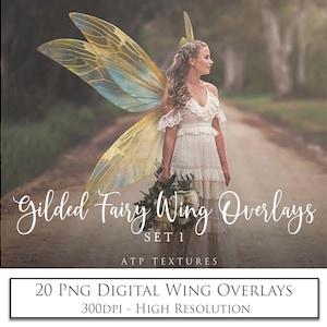 May include: A set of 20 digital fairy wing overlays in PNG format. The wings are a light blue and gold color with a glittery texture. The overlays are 300 DPI and high resolution. The text "Gilded Fairy Wing Overlays Set 1 ATP Textures" is at the bottom of the image.