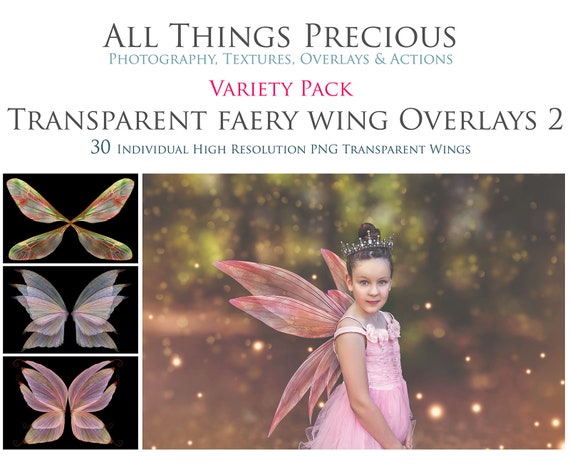 Variety Pack - 30 TRANSPARENT FAIRY WING Overlays No. 2 / Png Wings, High Res Photography, Photoshop Overlay, Digital Fairies, Big Bundle Il_570xn