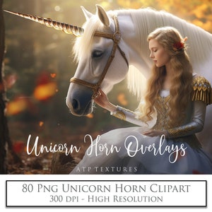 80 Png Overlays, UNICORN HORNS / Photo Overlay, Digital, Fantasy, Digital Scrapbooking, Photoshop, Ai Clipart