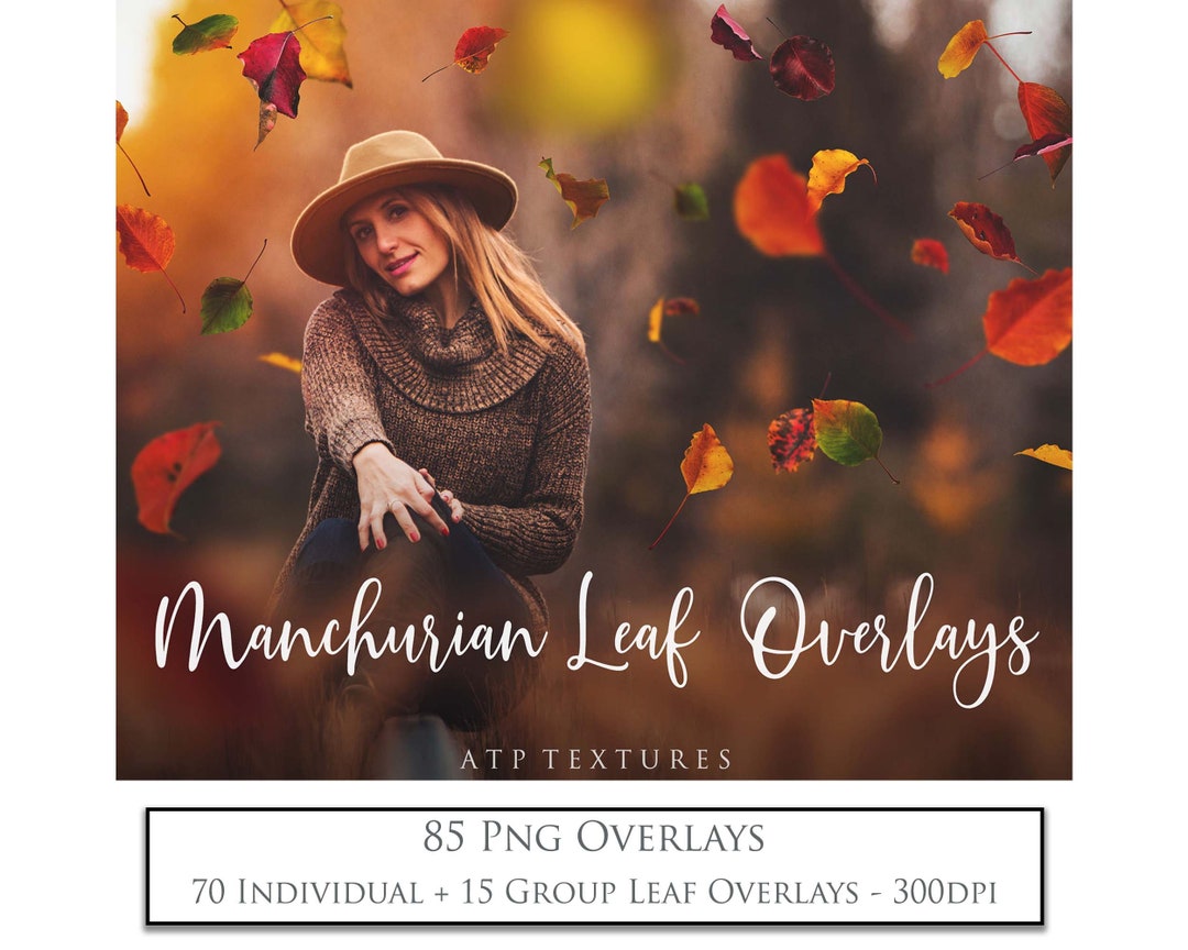 Png Autumn Leaf OVERLAYS - PNG Fall Leaves - Digital Photography ...