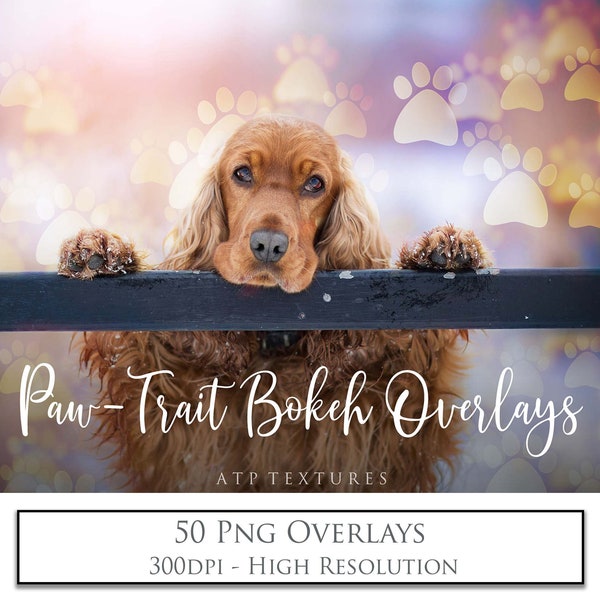 Gouden huisdier BOKEH-overlays. Pootafbeeldingen met hoge resolutie voor fotografie en print.