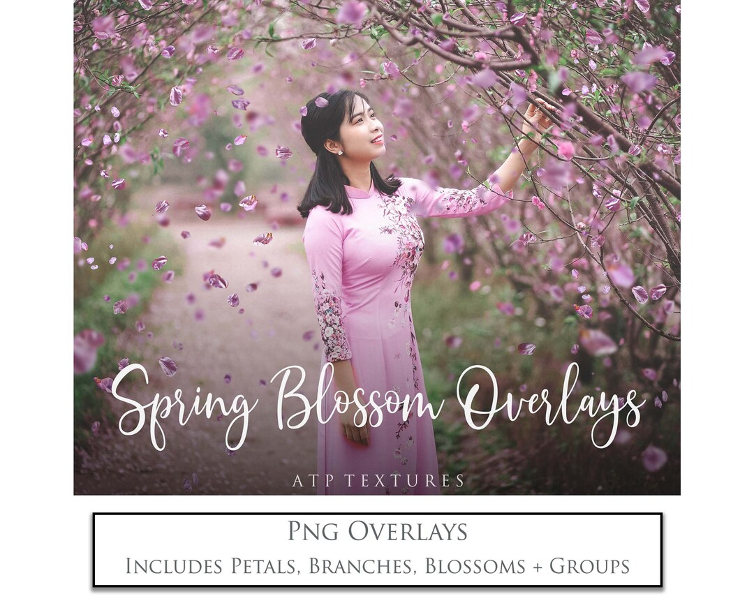 40 Photo Overlays Png - Spring Blossom Overlay / Photo Edit, Falling ...