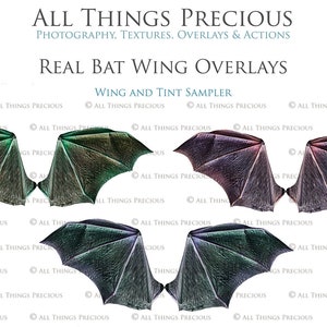 Digital Overlays for Photographers. Fairy Wings. Fairy Wing Overlays. High resolution, fine art digital assets for creating fantasy art. Magical transparent Png Overlay. See through real wings for authentic effects. Bundle. Real Butterfly Colourful.