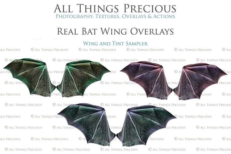 Digital Overlays for Photographers. Fairy Wings. Fairy Wing Overlays. High resolution, fine art digital assets for creating fantasy art. Magical transparent Png Overlay. See through real wings for authentic effects. Bundle. Real Butterfly Colourful.