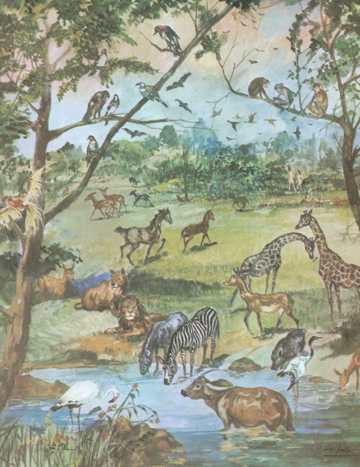 Ilustraciones de la Bíblia El paraíso terrenal Etsy