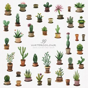 39 acuarela Cactus Digital Clip Art - Cactus - Botánicos - Plantas - Boda - Tropical - Scrapbooking - Árboles - Jardín - Greenery