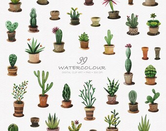 39 Watercolor Cactus Digital Clip Art - Cacti - Botanicals - Plants - Wedding - Tropical - Scrapbooking - Trees - Garden - Greenery