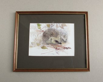 Hedgehogs by Mads Stage, Small Vintage Wildlife Art Print in Wooden Frame Sized 10 7/10 x 8 8/10 inches