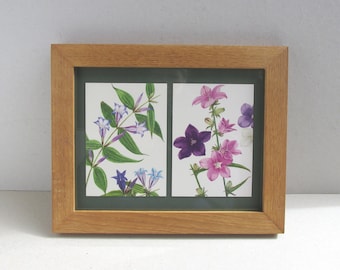 Gentiana & Campanula by Graham Stuart Thomas 1979, Vintage Small Print Duo of Purple Flower Art in Wooden Frame Sized 10 1/2 x 8 4/10 ins