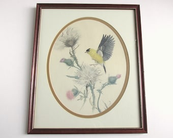 Goldfinch and Thistles by Martin Glen Loates 1976, Vintage Bird Art Print in Wooden Frame Sized 12 5/8 x 10 5/8 inches